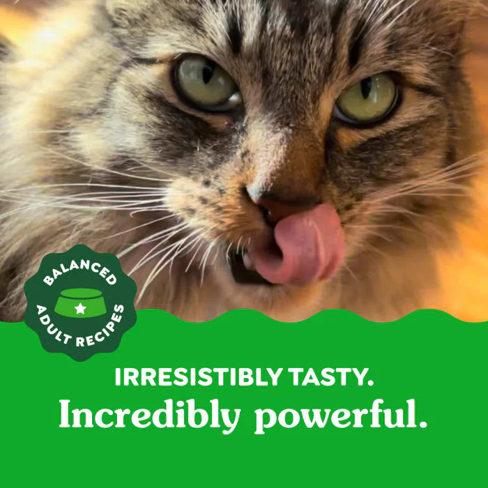 FELINE GREENIES Adult Natural Dental Care Cat Treats, Oven Roasted Chicken Flavor, 4.6 oz. Pouch - Image 4