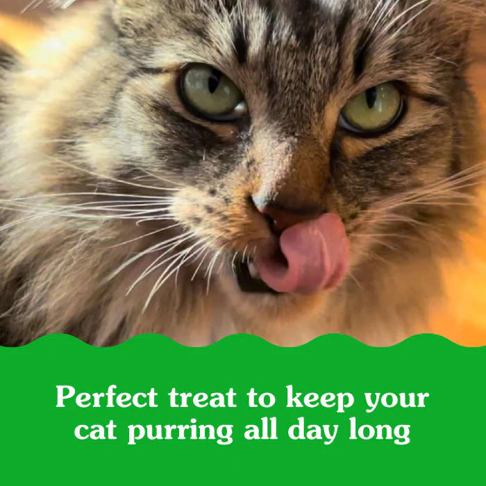 FELINE GREENIES SMARTBITES Skin & Fur Health Crunchy and Soft Natural Cat Treats, Salmon Flavor, 16 oz. Tub - Image 6