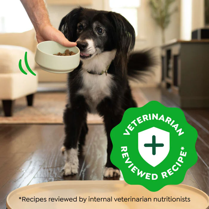 Greenies Smart Essentials Adult High Protein Dry Dog Food Real Chicken & Rice Recipe, 6 lb. Bag - Image 5