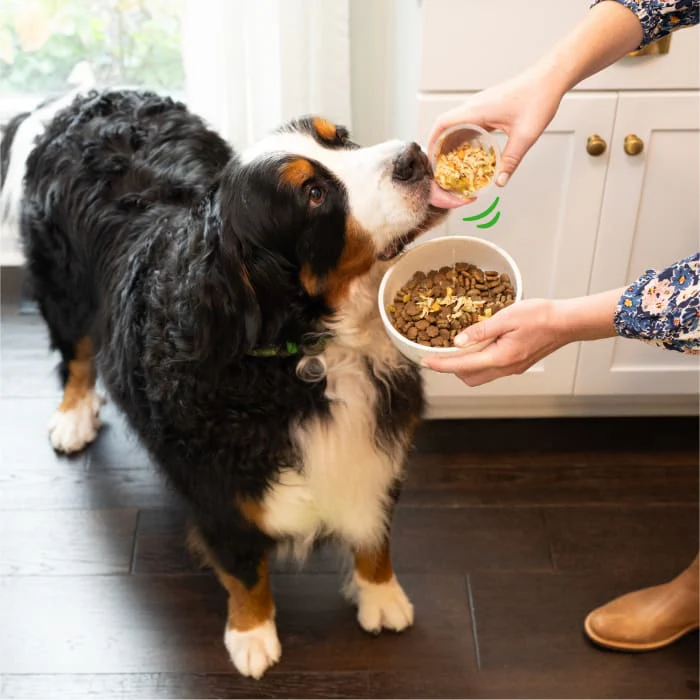 Greenies Smart Topper Wet Mix-In for Dogs, Chicken with Green Beans & Beef Pack, 8 Trays of 2 oz. - Image 5