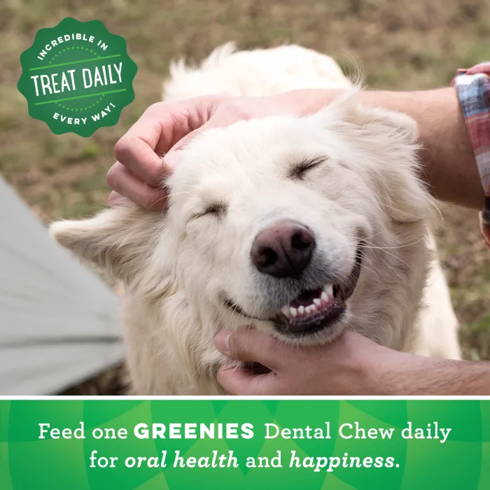 GREENIES Gingerbread TEENIE Dental Treats, 12 oz. - Image 9