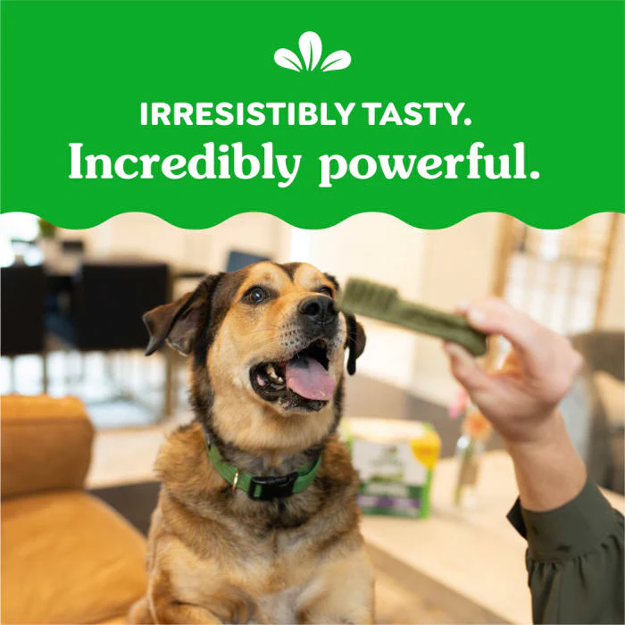 GREENIES Original Large Natural Dog Dental Care Chews Oral Health Dog Treats, 36 oz. Pack (24 Treats) - Image 7
