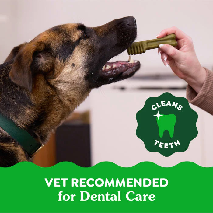 GREENIES Original Large Natural Dental Care Dog Treats, 6 oz. Pack (4 Treats) - Image 5