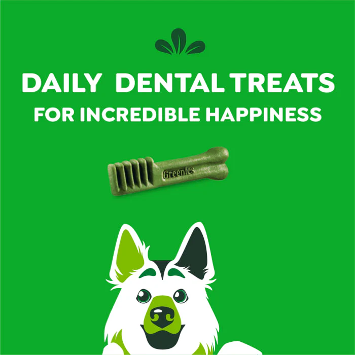 GREENIES Original Large Natural Dental Care Dog Treats, 6 oz. Pack (4 Treats) - Image 9