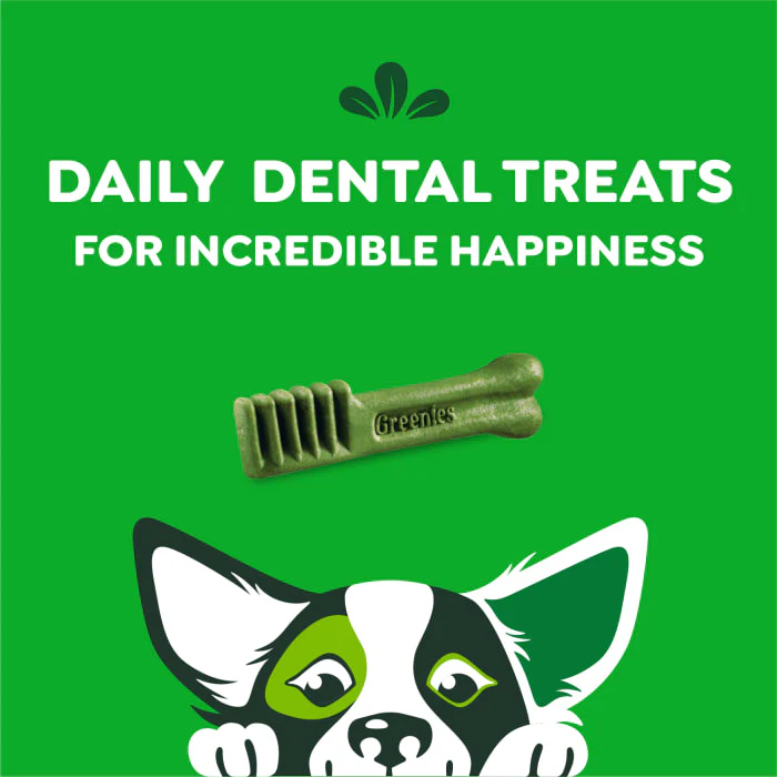 GREENIES Original Petite Natural Dog Dental Treats, 3 oz. Pack (5 Treats) - Image 9