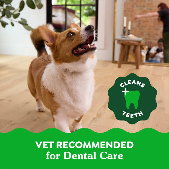 GREENIES Petite Natural Dog Dental Treats, Sweet Potato Flavor, 12 oz. Pack (20 Treats) - Image 5