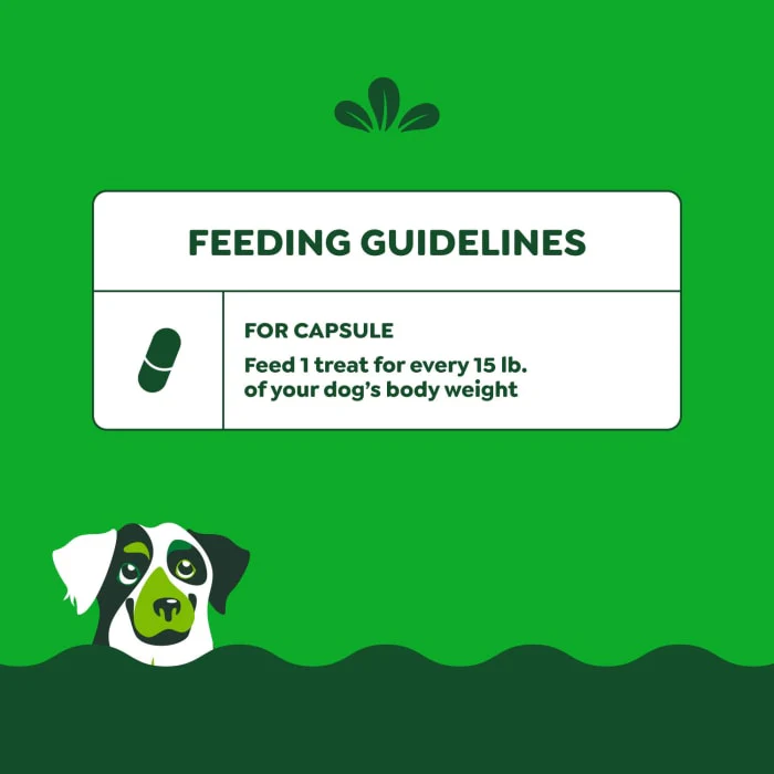 Greenies Pill Pockets for Dogs Large, Capsule Size Dog Treats, Hickory Smoke, 7.9 oz., Pack of 30 - Image 9