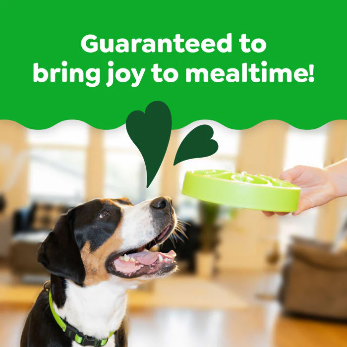 Greenies Smart Essentials Sensitive Digestion & Skin Adult Dry Dog Food Real Lamb & Brown Rice Recipe, 15 lb. Bag - Image 4