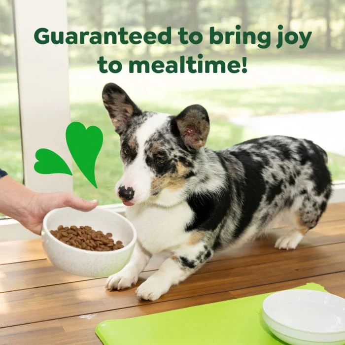 Greenies Smart Essentials Small Breed Adult High Protein Dry Dog Food Real Chicken & Rice Recipe, 27 lb. Bag - Image 5