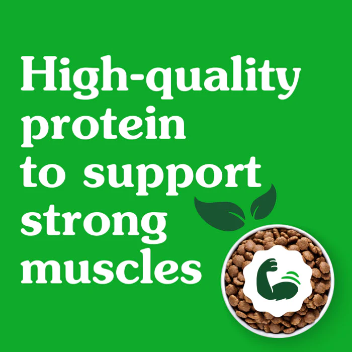 Greenies Smart Essentials Small Breed Adult High Protein Dry Dog Food Real Chicken & Rice Recipe, 27 lb. Bag - Image 7