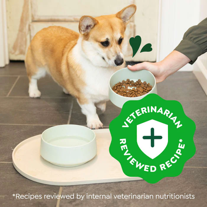 Greenies Smart Essentials Small Breed Adult High Protein Dry Dog Food Real Chicken & Rice Recipe, 5.5 lb. Bag - Image 4