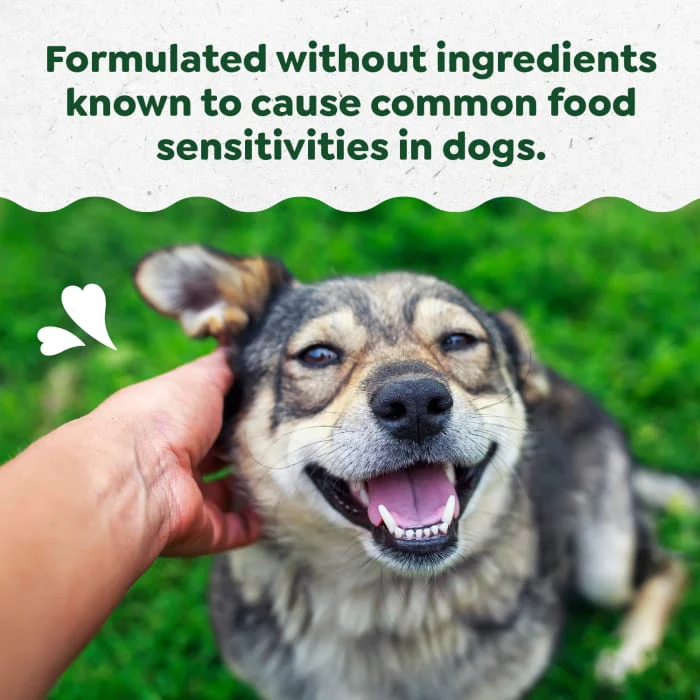 Greenies Allergy & Immune Support Sensitive Care Dog Supplement Peanut Butter Flavor, 40 Count Pouch - Image 4