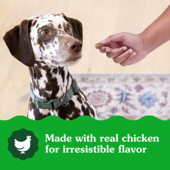 Greenies Supplements Digestive Health with Probiotics for Dogs Chicken Flavor, 15.6 oz. Pouch of 80 ct. Chews - Image 5
