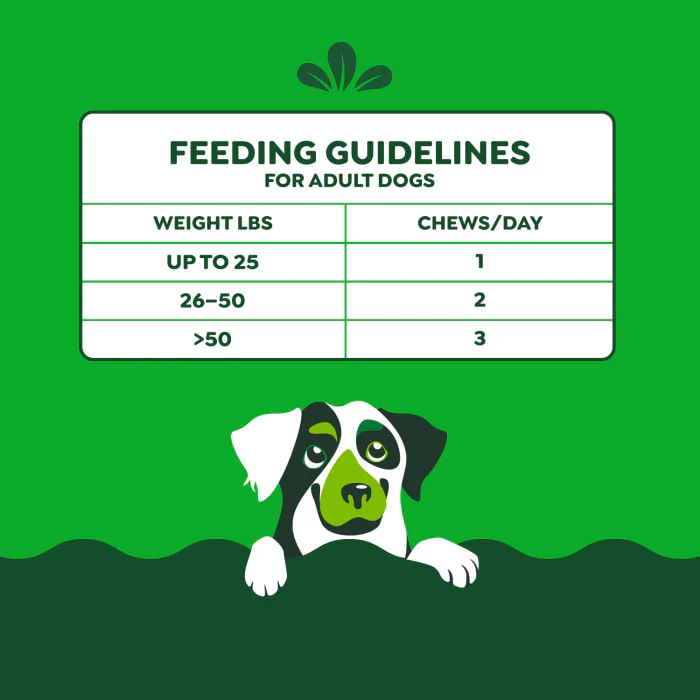 Greenies Hip and Joint Supplements for Dogs, Chicken Flavor, 6.08 oz., 30-Count Soft Chews - Image 9