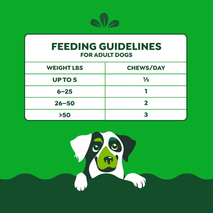 Greenies Dog Skin and Coat Supplements With Fish Oil, Chicken Flavor, 7.37 oz., 40-Count Soft Chews - Image 9