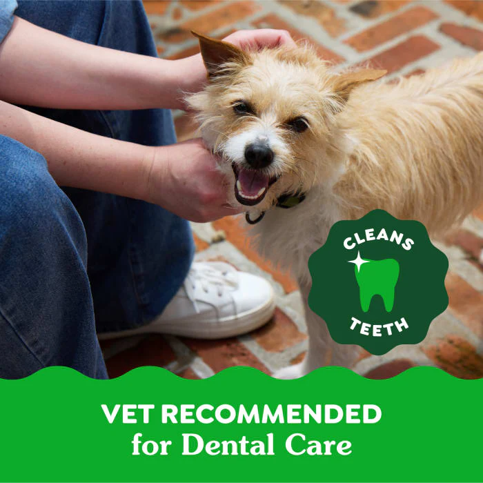 GREENIES TEENIE Natural Dog Dental Treats, Sweet Potato Flavor, 12 oz. Pack (43 Treats) - Image 5