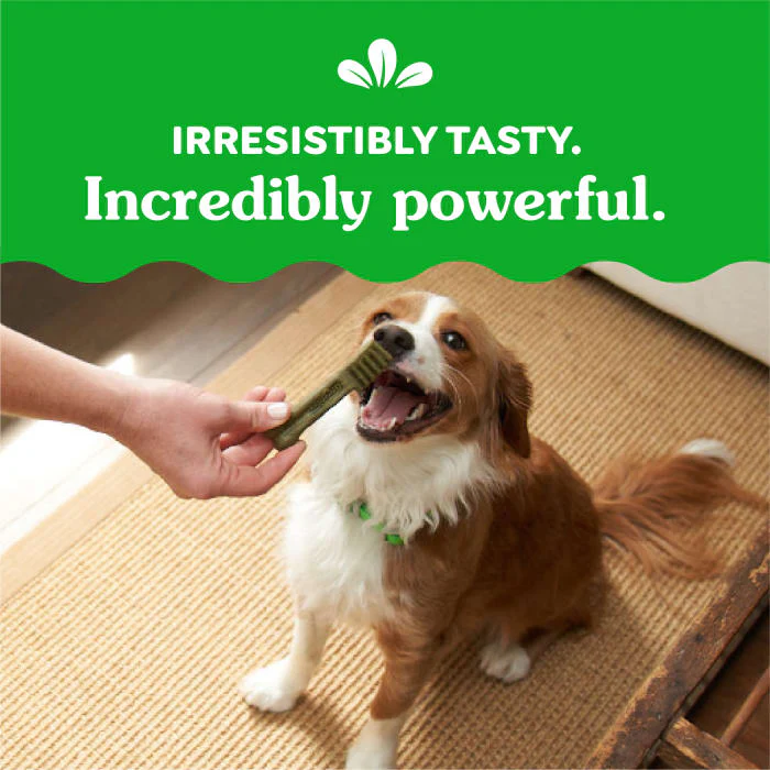 GREENIES Weight Management Petite Natural Dog Dental Care Chews Weight Control Dog Treats, 27 oz. Pack (45 Treats) - Image 7