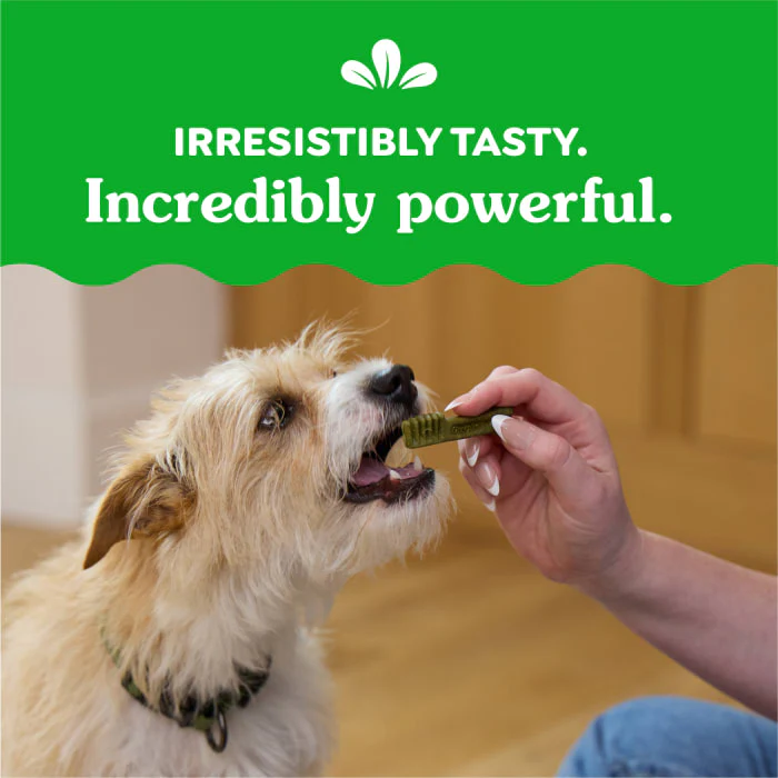 GREENIES Weight Management TEENIE Natural Dog Dental Care Chews Weight Control Dog Treats, 27 oz. Pack (96 Treats) - Image 7